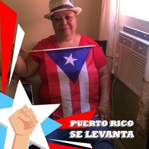 Meet your Posher, Lou